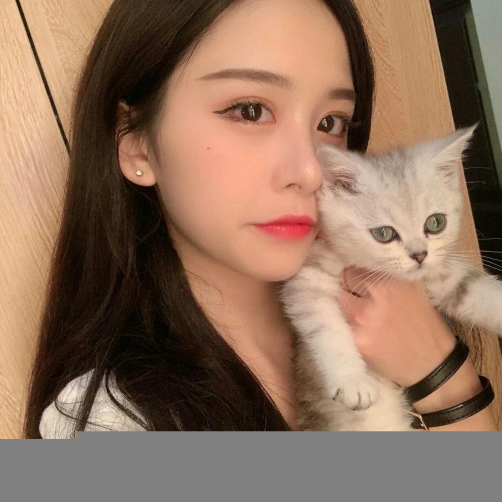 汤姆猫弹弹奇兵最新版本下载